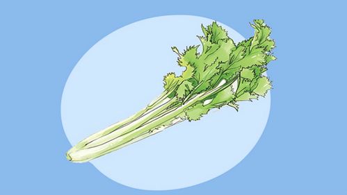 宝宝湿疹反复发作？智慧妈妈巧对湿疹与荨麻疹