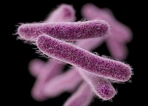 孕妇饮食卫生与荨麻疹防范指南